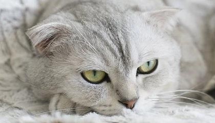 最好的南博赛文已来！韦世豪单赛季直接参与18球打破个人记录